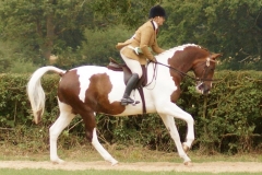 Mill House Adimo Pectore and Kirstie Wright