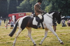 Rathreagh Romeo and Jay Page