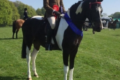 Wards Place Picture Perfect and Peter Hodgkinson