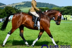 Charley-Quinn-and-Frankby-First-Edition