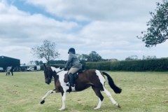 Andrea-Lorking-and-Trinity-Harlequin