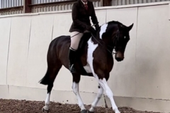 Georgia-Johnson-and-Diamond-Jazz