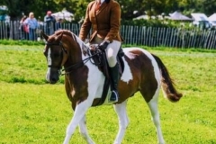 Hannah-Donnelly-and-Havenbeech-Foxtrot Hannah-Donnelly-and-Havenbeech-Foxtrot