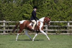 Alice-Bennett-and-Doylan-Alouettes-Gift