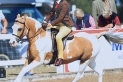 Lucie-Wilson-and-The-Longhouse-Sundance