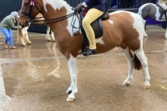 Megan-Victor-and-Owston-Special-Edition