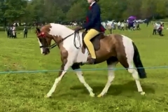 Paige-knipe-and-Hopgarden-Hunca-Munca