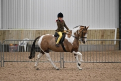 Jemima-Makin-Jones-and-My-Country-Belle