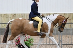 Megan-Victor-and-Owston-Special-Edition