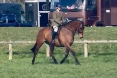 Glen-Allen-and-Wellpark-Thor