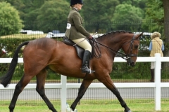 Penny-Clarke-and-A-Chance-Encounter