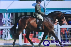 Megan Cookson Megan Cookson