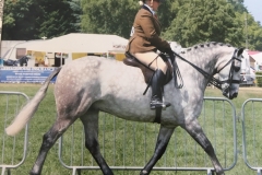 Victoria Oliver and Craughwell Strawberry Lad Victoria Oliver and Craughwell Strawberry Lad