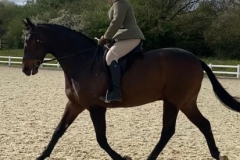 Sam-Tanner-and-KBF-Magic-Abroad