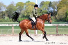 Abbie-Sattar-Horse_Pony-Embleton-Reel-