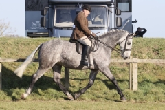 Carl owen and Tremarl dark arc