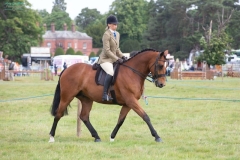 Darci-Barnes-Horse_Pony-Ballarin-Bada-Bing