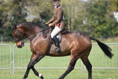 Emma-Matthews-Horse_Pony-GALLIANO-IV