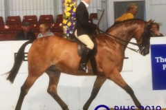 Glen Allen and Helsington Tailor Made