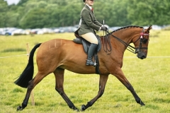 Alice-stratton-Horse_Pony-Lenmar-Lady-Moyne