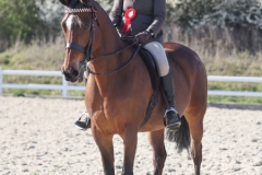 Katie-Akers-Horse_Pony-Gortglas-Skye-Clover