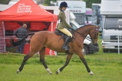 Leah-Donald-Horse_Pony-Redstone-Springtime