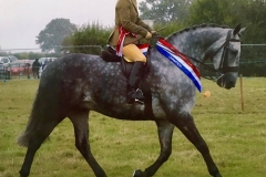 The Grey Rebel and Marilyn Bane