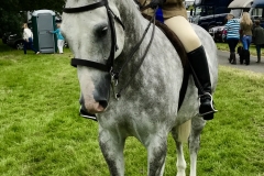 Georgia Oliver and Casablanca