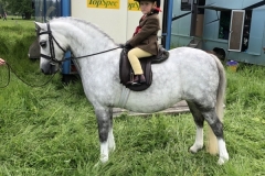 Amy-may Ridgett and Uphill Megan Fox