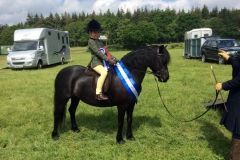 William Parkin and Newoak Gold Edition