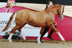 Lisa-Mewes-and-Glyneyn-Fine-and-Dandy