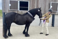 Tara-Robinson-and-Hedgethorpe-April-Morning