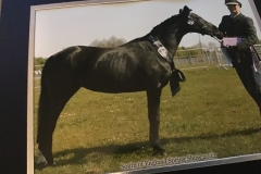 Vanessa-Nunn-and-Trowswell-Saint-Etienne