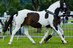 elsey-bishop-and-Shemika-snip