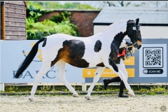 Kelsey-bishop-and-Shemika-snip