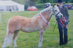 Samantha-Norris-and-Maesglas-Lili-Wen