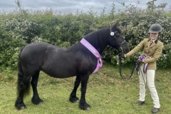 Tara-Robinson-and-Hedgethorpe-April-Morning