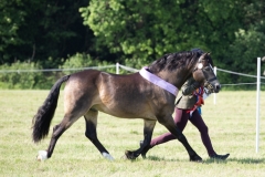 Eleanor-Smithers-and-Pasadena-Well-Dun