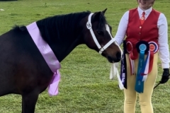 Gavina-Semonella-and-Forlan-honey-Monarch