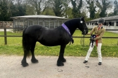 Tara-Robinson-and-Hedetorpe-April-Morning