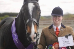 Alicia-Houlihan-Horse_Pony-Pairc-An-Faoi-Diamond