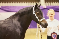 Alicia-lambert-and-Burghwallis-lucylocket