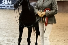 Amanda-whitehall-and-Fawsley-Chiff-Chaff