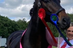 Emily-Holland-Horse_Pony-Castors-Son