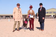 Emma Armitage and Birchwood uk flying colours