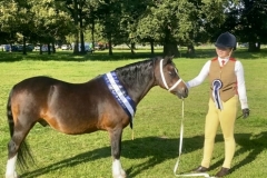 Gavina-Semonella-and-Forlan-honey-Monarch