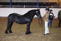 Tara Robinson and Hedgethorpe April Morning