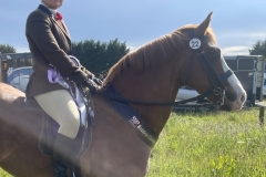 Dannii-Thexton-and-Washingpool-ladys-man