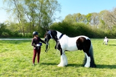 Lacey-smith-and-Domino-Flashy-Lad