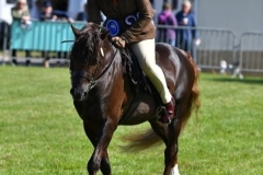 aisy-Conibear-and-Thistledown-Americano